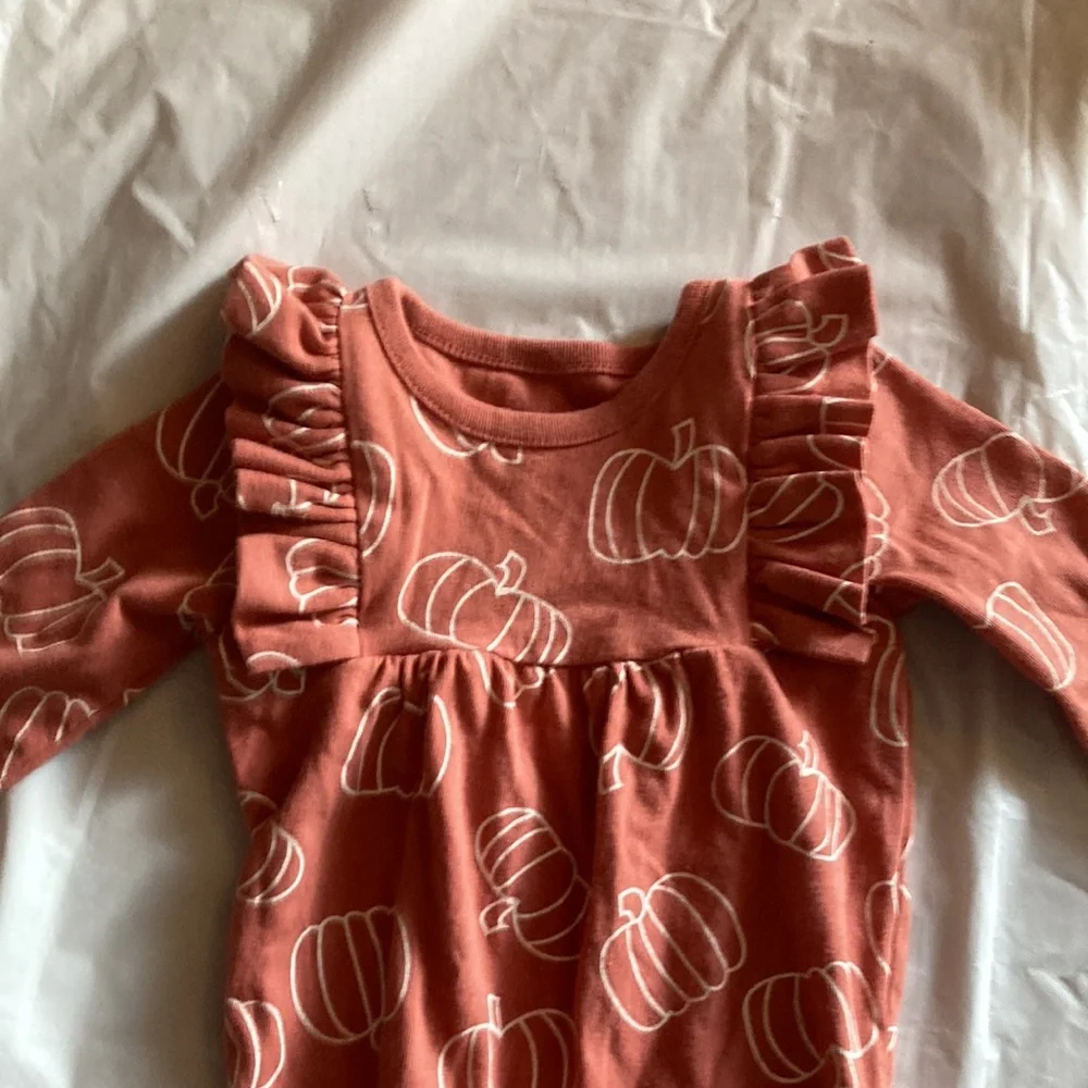 Fall inspired set of two long sleeve onesie. - Picture 6 of 7